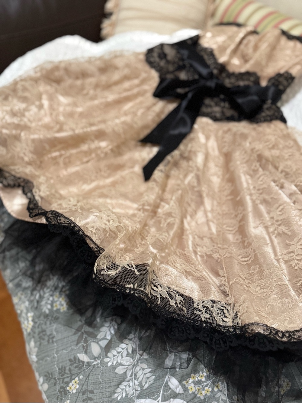 Jessica McClintock Blush Pink Lace Party Dress with Black Satin Bow - Picture 3 of 6